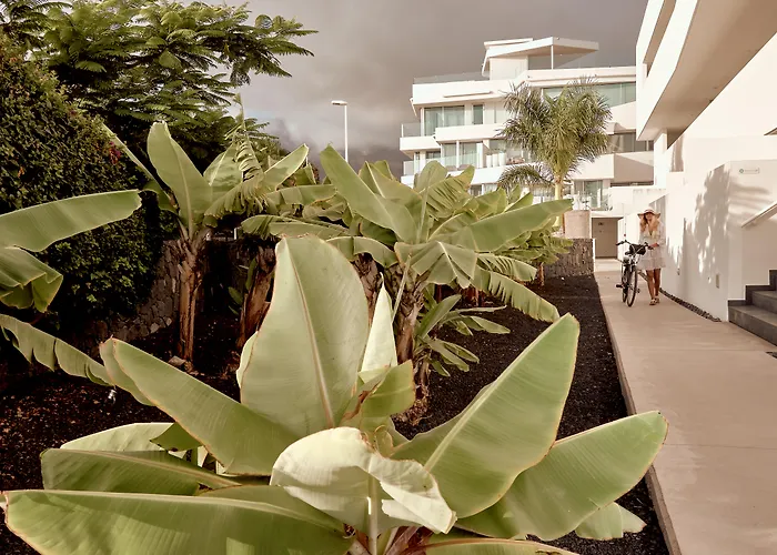 باوباب سويتس