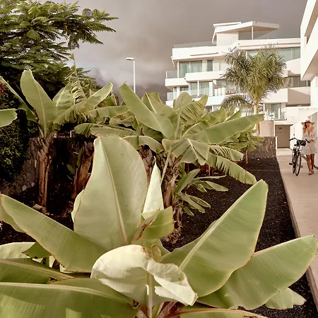 バオバブ スイーツ