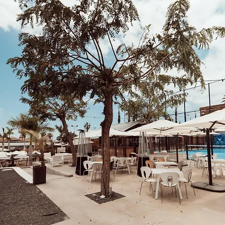 Baobab Costa Adeje