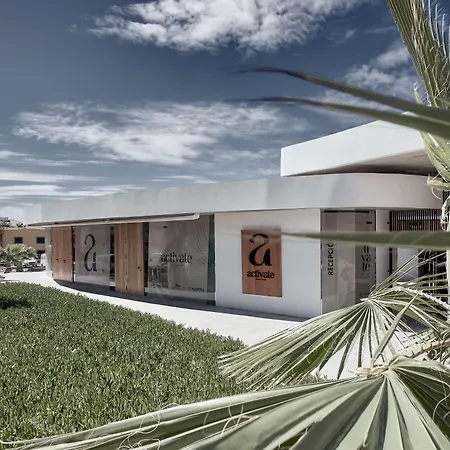 バオバブ スイーツ 5*